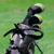 Golf Swing